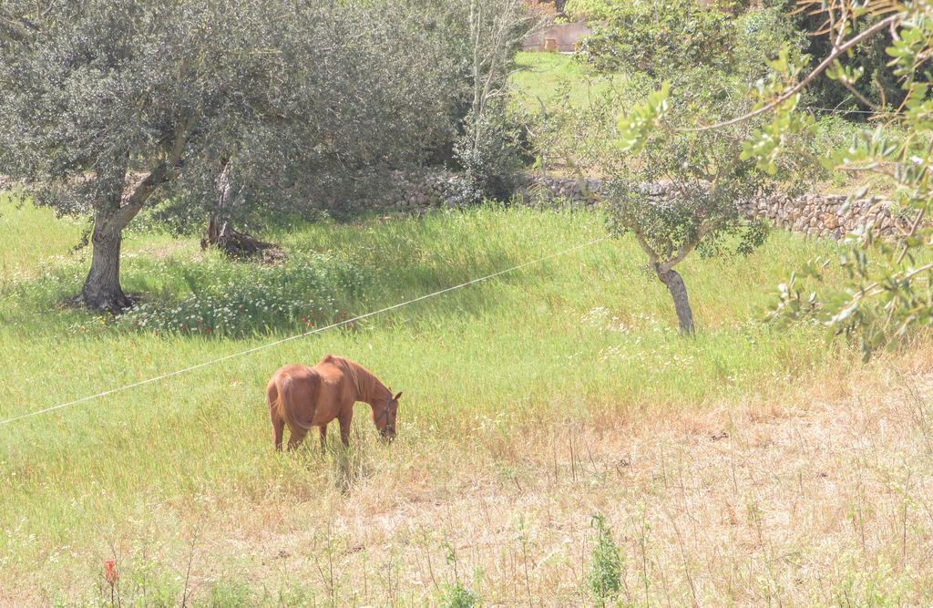 Finca Batlet S'Horta Bagian luar foto