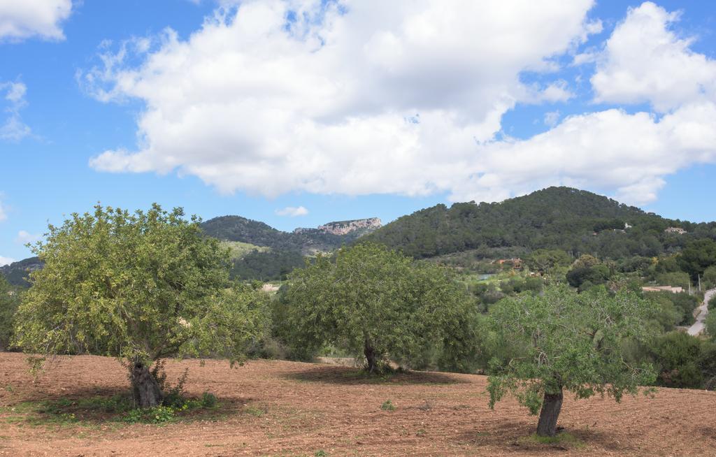 Finca Batlet S'Horta Bagian luar foto